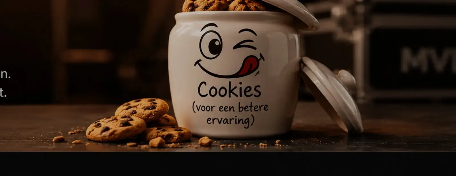 Cookiebeleid van MVL Productions